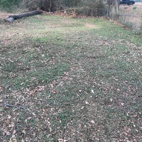 Leaf Removal by Ground Control reviewed on January 29, 2026