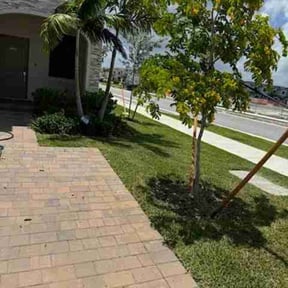 turf care by A Plus Lawn care reviewed on April 18, 2024