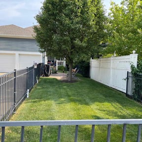 yard work by House of Beauty Lawn Care reviewed on November 22, 2025