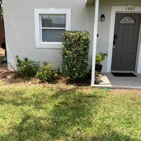 Bush Trimming by RT Lawncare & Tree Specialist reviewed on August 20, 2025