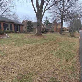 Cleanup by  reviewed on January 9, 2026