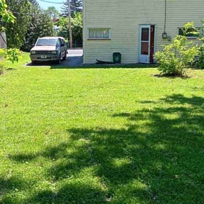 landscaping by DMD LAWN RESCUE reviewed on August 21, 2025