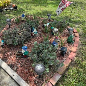 Flower Bed Weeding by Chavez construction &amp; landscaping reviewed on August 14, 2026