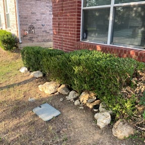 Bush Trimming by Look Like New Lawn Care & Pressure Washing reviewed on August 20, 2025