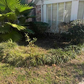 Bush Trimming by Fresh cut Lawncare Pros reviewed on September 13, 2026