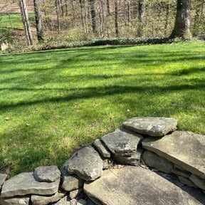 Leaf Removal by shawn's Lawn service reviewed on September 29, 2025