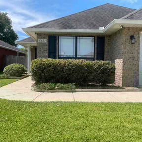 Bush Trimming by OTG Services reviewed on August 17, 2025