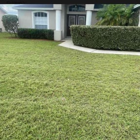 Bush Trimming by Curb Appeal - Listing Home Prep LLC reviewed on August 20, 2025