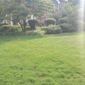Bush Trimming by Fruits Of Our Labor Landscaping reviewed on August 15, 2025