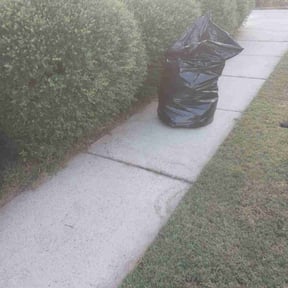 Bush Trimming by RhodenColes Investments reviewed on November 7, 2025