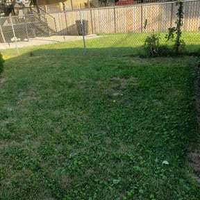 Bush Trimming by Clean Kut Care reviewed on August 15, 2025