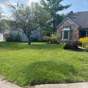 yard work by Supernatural home-improvement reviewed on August 15, 2025