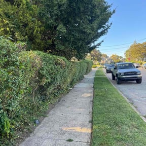 Bush Trimming by The Shaquille Davis Group llc. reviewed on November 10, 2025