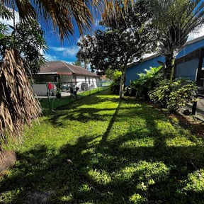 lawn care services by BCH services reviewed on June 18, 2025