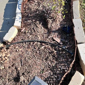 Flower Bed Weeding by Walt Mandrick reviewed on August 19, 2025