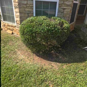 Bush Trimming by Chloe’s Lawn Care LLC reviewed on October 22, 2025