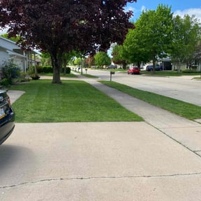 lawn care by Hens Lawn Services reviewed on August 15, 2025