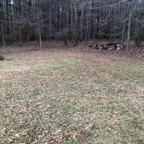 Leaf Removal by Krypteia Landscape Design reviewed on September 24, 2025