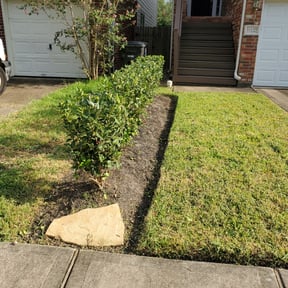 Bush Trimming by Forrest Landscaping Services reviewed on August 20, 2025