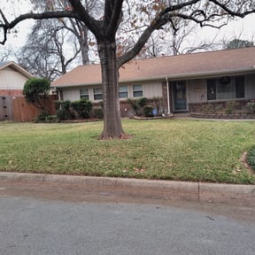 Leaf Removal by Pace Lawn and Garden reviewed on August 16, 2025