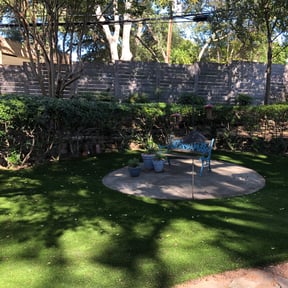 Bush Trimming by Aero Lawns, LLC. reviewed on August 17, 2025