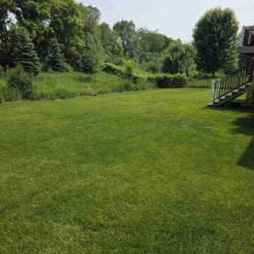 yard service by LENJAN LLC reviewed on August 20, 2025