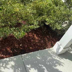 Flower Bed Weeding by Greener Lawn Care LLC. reviewed on August 17, 2026