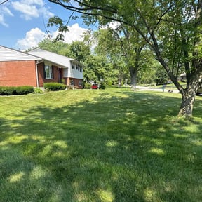 gardening service by Care lawn leaf firltet reviewed on August 19, 2025