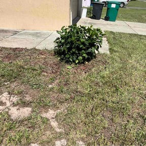 Bush Trimming by Mcleod Property pres reviewed on August 15, 2025