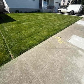 turf maintenance by Outback Landscaping reviewed on August 16, 2025