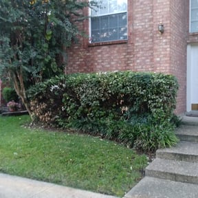 Bush Trimming by Wkwross Lawn Care and 72154 reviewed on February 14, 2026