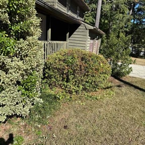 Bush Trimming by Kingdom Creations reviewed on November 24, 2025