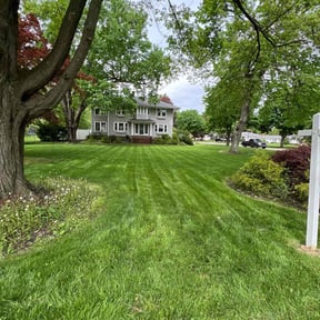 gardening service by YardForce Lawn Service reviewed on November 26, 2025