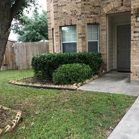 Bush Trimming by DmW Lawn care reviewed on August 18, 2025