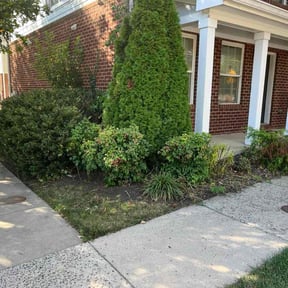 Bush Trimming by Rose Lawn and Landscape, LLC reviewed on December 18, 2025