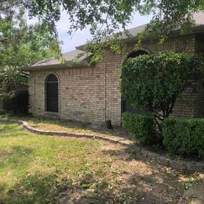 Bush Trimming by New Direction Lawn Care LLC reviewed on August 16, 2025