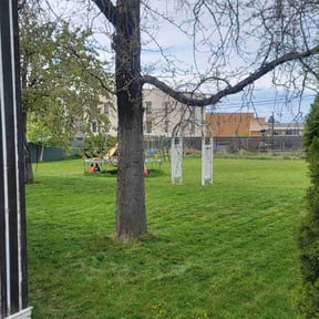 turf maintenance by MB Williams Lawn Care Services reviewed on March 28, 2024