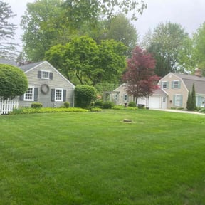 yard service by DTE Maintenance Llc reviewed on August 18, 2025
