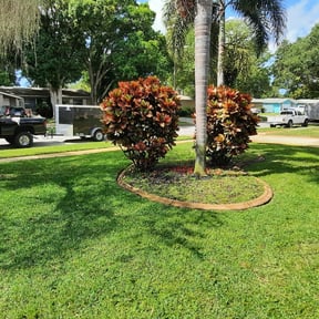 residential landscaping by Self reviewed on August 21, 2025