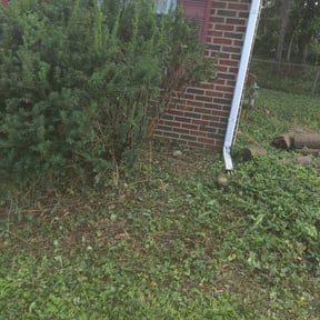 Flower Bed Weeding by Precision Lawn Care reviewed on August 18, 2025