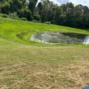 Bush Trimming by T &amp;O Landscape Service LLC reviewed on September 13, 2023