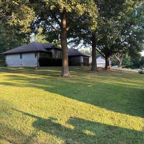 yard work by A Better Lawn Care, LLC reviewed on August 16, 2025