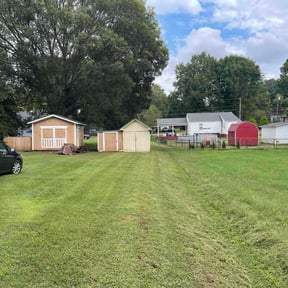 lawn service by E.B. Lawncare LLC reviewed on May 1, 2025
