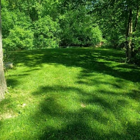 yard work by Lawn Care Co. reviewed on November 22, 2025