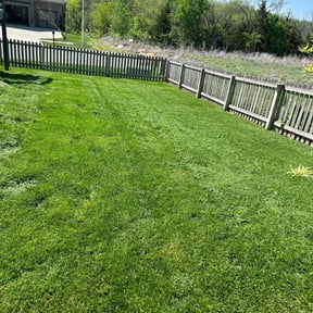 yard care by Northside lawn Care reviewed on August 19, 2025