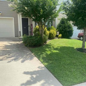 residential landscaping by David's Landscaping reviewed on August 15, 2025