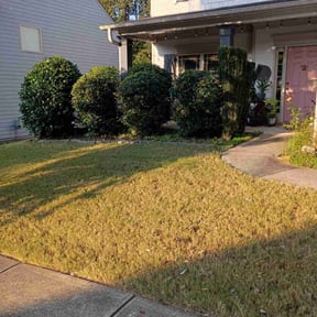 Bush Trimming by One Kool Kat Lawn Care reviewed on May 31, 2022