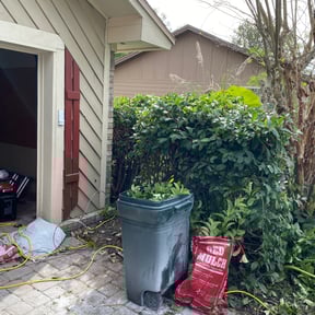 Bush Trimming by Sacred Lawn Care reviewed on August 20, 2025