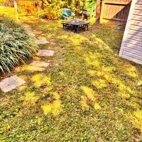 Flower Bed Weeding by Magnum Landscaping llc reviewed on October 23, 2025