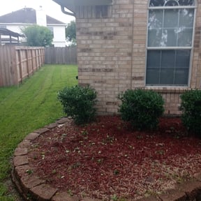 Bush Trimming by CJS Lawn Services LLC reviewed on August 19, 2025